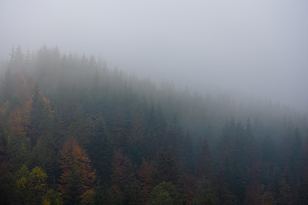 网络与新媒体的就业前景